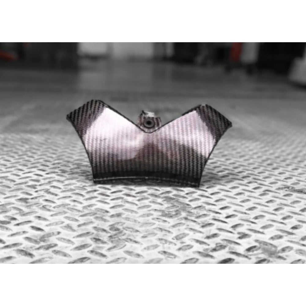 Kawasaki ZX14R Taillight