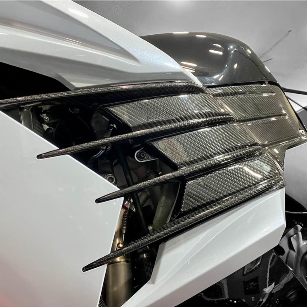 AGM ZX14R Carbon Fiber Side Gills